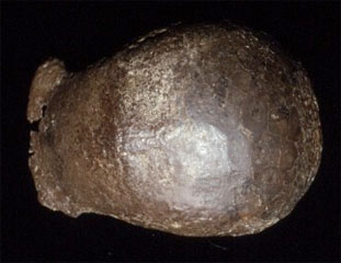 Trinil superior